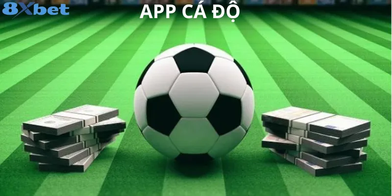 Thế giới app cá độ: cơ hội, thách thức và rủi ro cần biết 2 Tìm hiểu thế giới của app cá độ